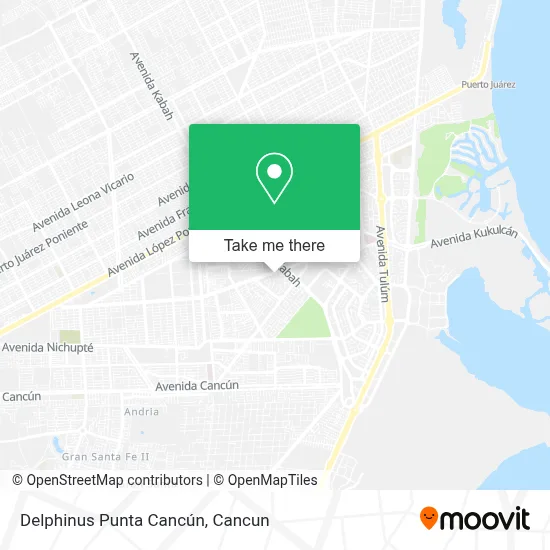 Delphinus Punta Cancún map