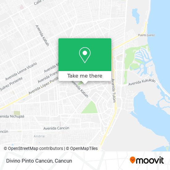 Mapa de Divino Pinto Cancún