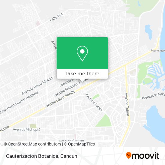 Cauterizacion Botanica map