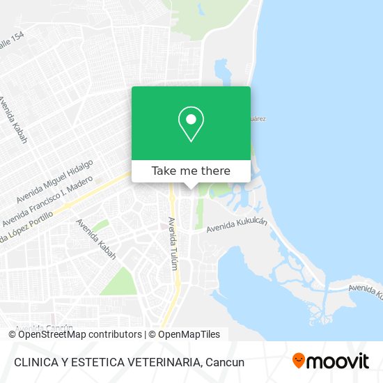 Mapa de CLINICA Y ESTETICA VETERINARIA