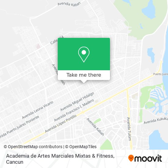 Mapa de Academia de Artes Marciales Mixtas & Fitness