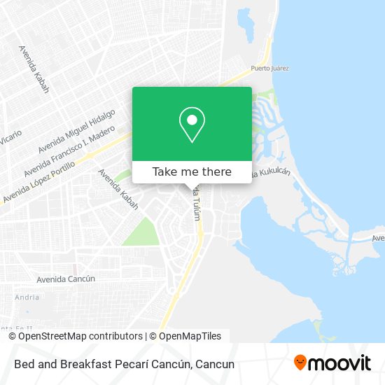 Mapa de Bed and Breakfast Pecarí Cancún