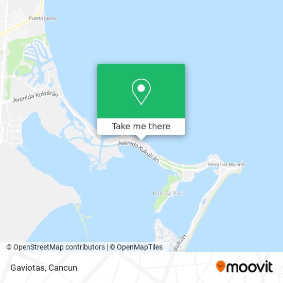 Gaviotas map