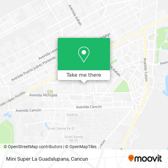 Mapa de Mini Super La Guadalupana