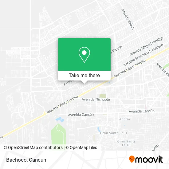 Bachoco map