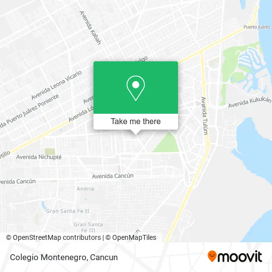 Colegio Montenegro map