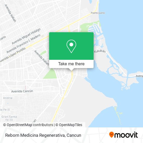 Reborn Medicina Regenerativa map