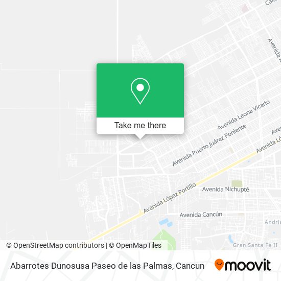 Abarrotes Dunosusa Paseo de las Palmas map