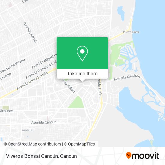 Mapa de Viveros Bonsai Cancún