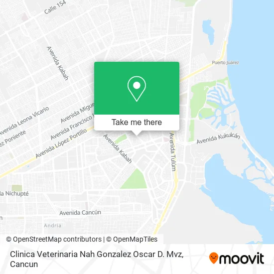 Clinica Veterinaria Nah Gonzalez Oscar D. Mvz map
