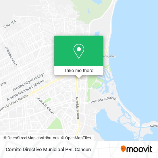 Comite Directivo Municipal PRI map