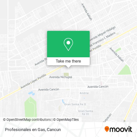 Profesionales en Gas map