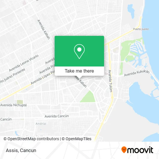 Assis map