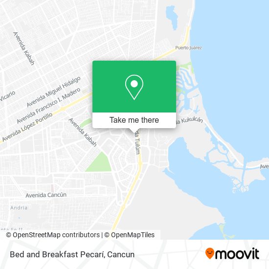 Mapa de Bed and Breakfast Pecarí