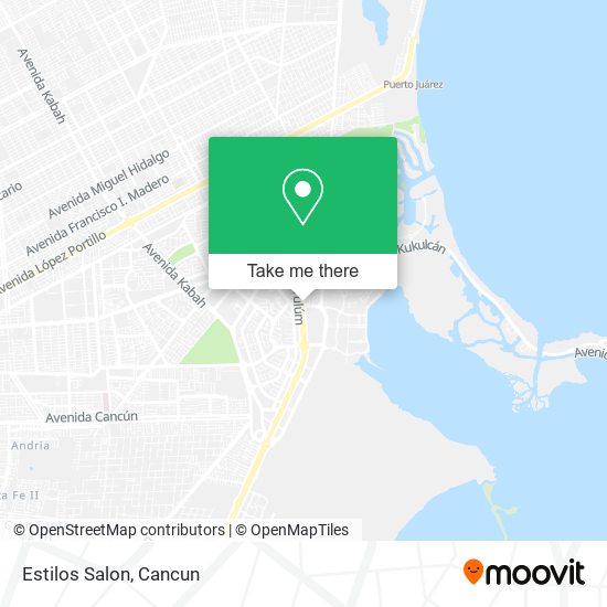 Mapa de Estilos Salon