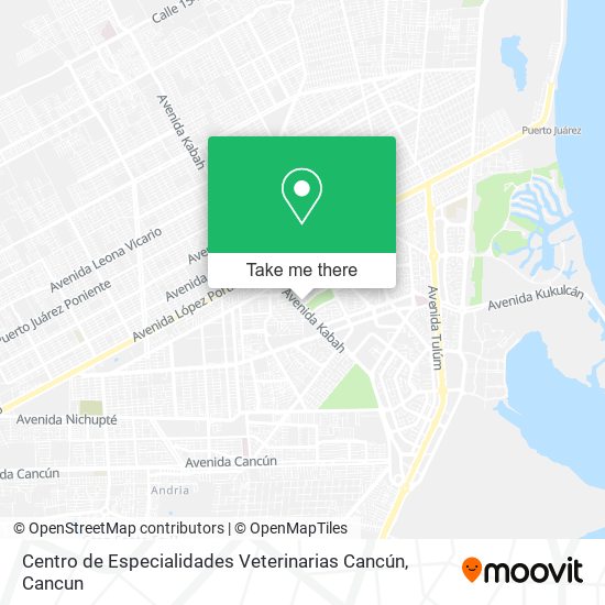 Mapa de Centro de Especialidades Veterinarias Cancún