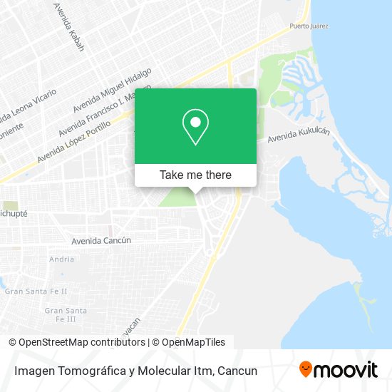 Mapa de Imagen Tomográfica y Molecular Itm