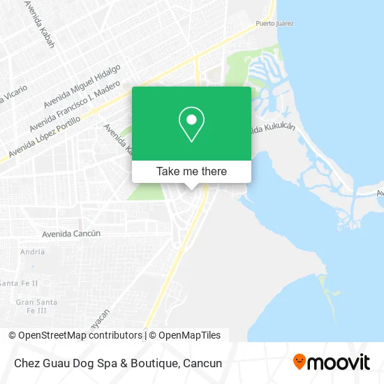 Chez Guau Dog Spa & Boutique map