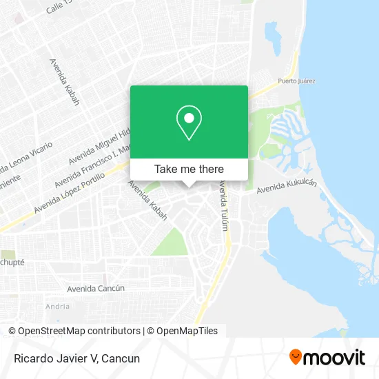 Ricardo Javier V map