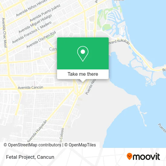 Fetal Project map