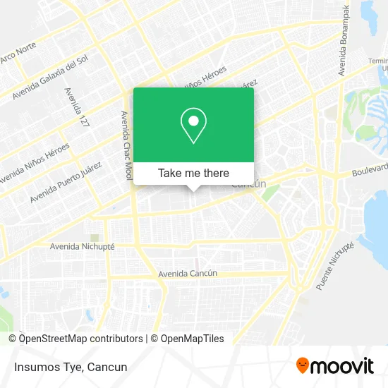 Insumos Tye map