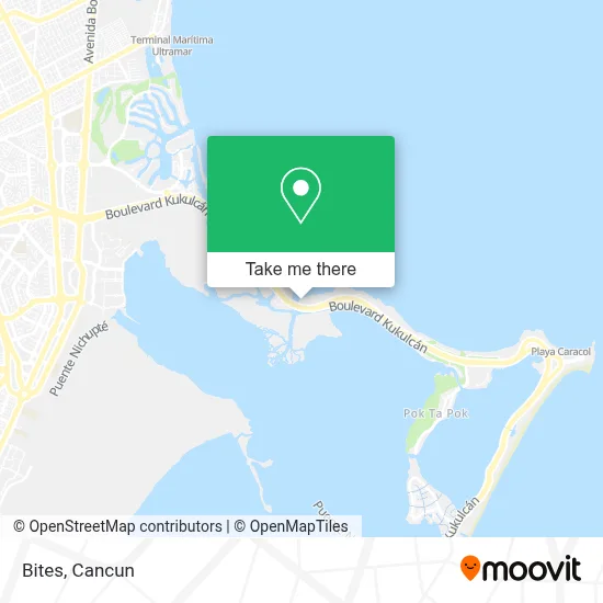 Bites map