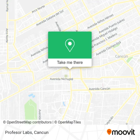 Profesor Labs map