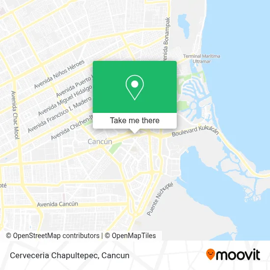 Cerveceria Chapultepec map