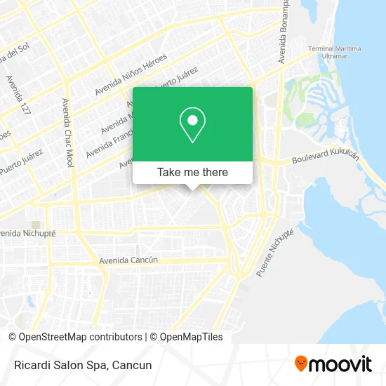 Ricardi Salon Spa map