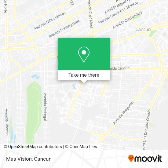 Mas Vision map