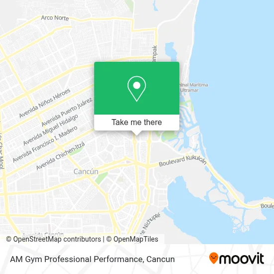 AM Gym Professional Performance map
