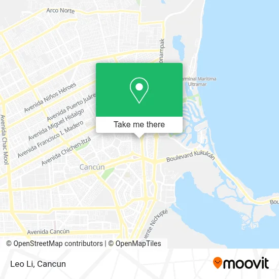 Leo Li map