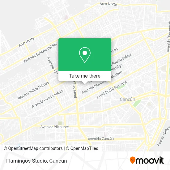 Flamingos Studio map