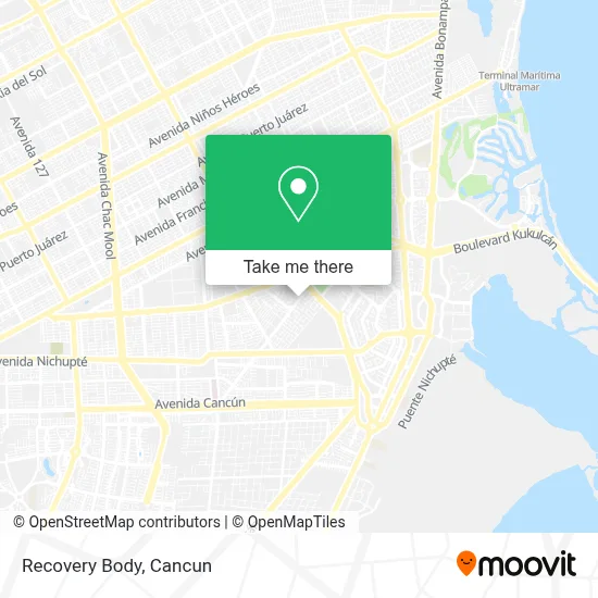Recovery Body map