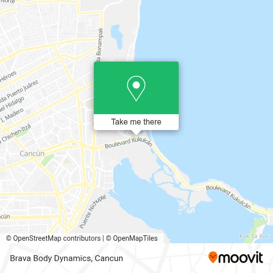 Brava Body Dynamics map