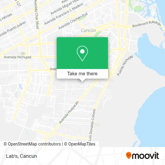 Lab's map