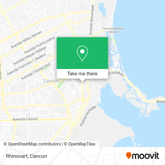Rhinovart map