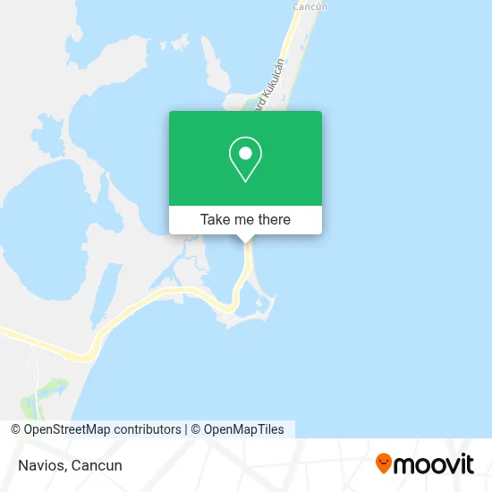 Navios map