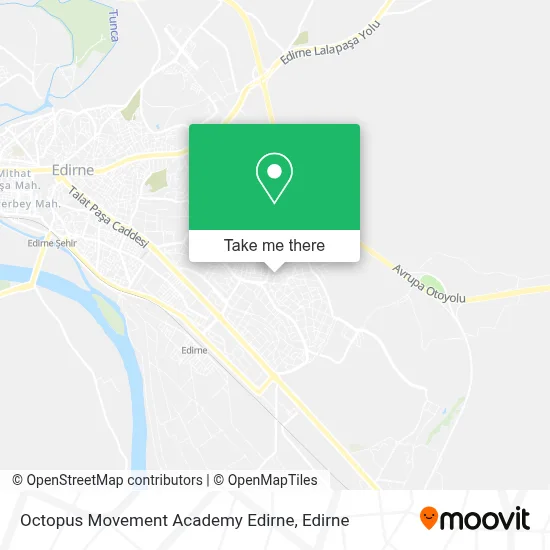 Octopus Movement Academy Edirne map