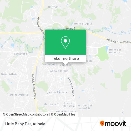 Little Baby Pet map