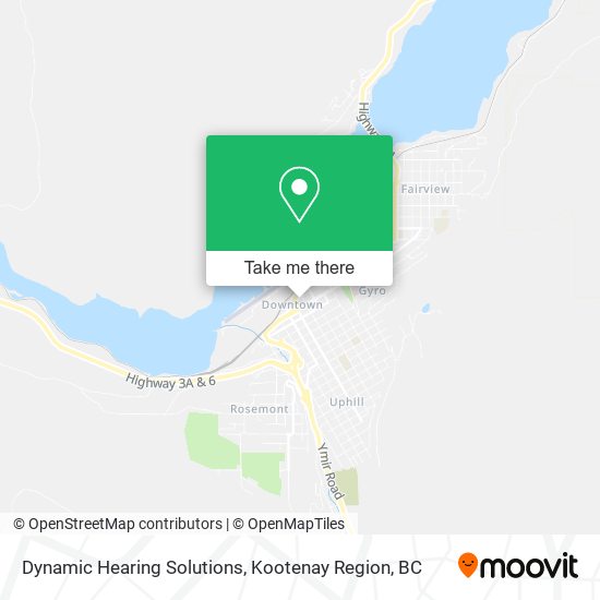 Dynamic Hearing Solutions plan