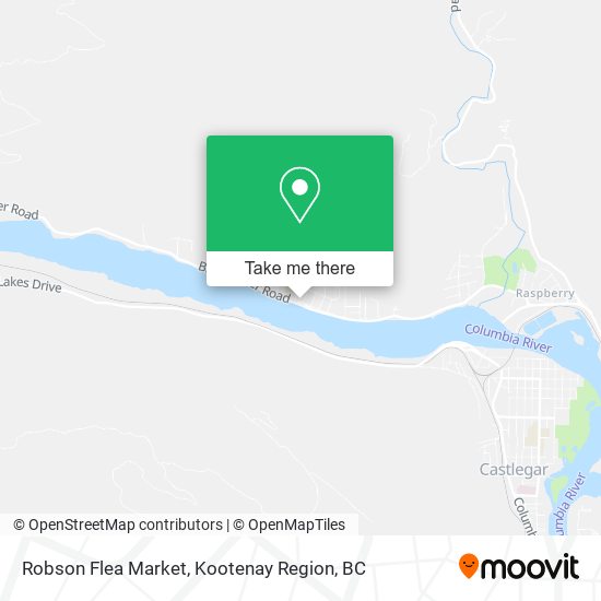 Robson Flea Market plan