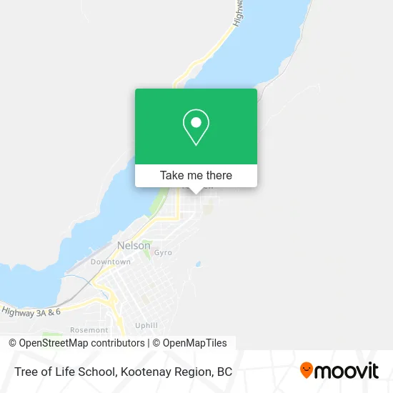 Tree of Life School plan