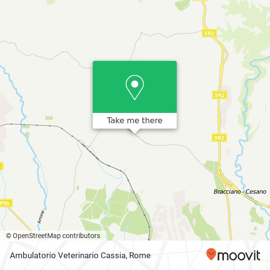 Ambulatorio Veterinario Cassia map