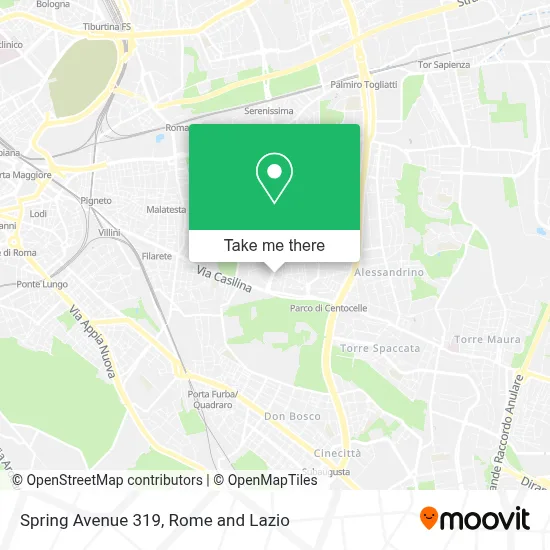 Spring Avenue 319 map