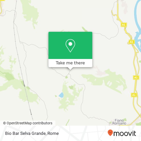 Bio Bar Selva Grande map