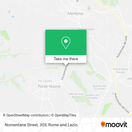 Nomentana Street, 303 map