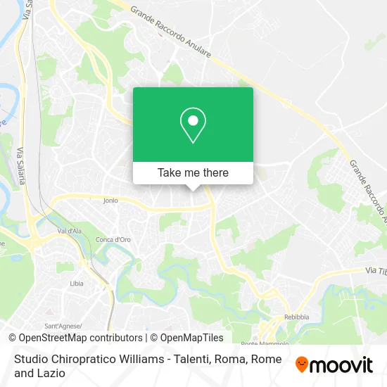 Williams Chiropractic Studio - Talenti, Rome map