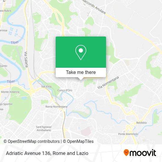 Adriatic Avenue 136 map