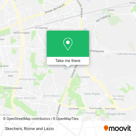 Skechers map